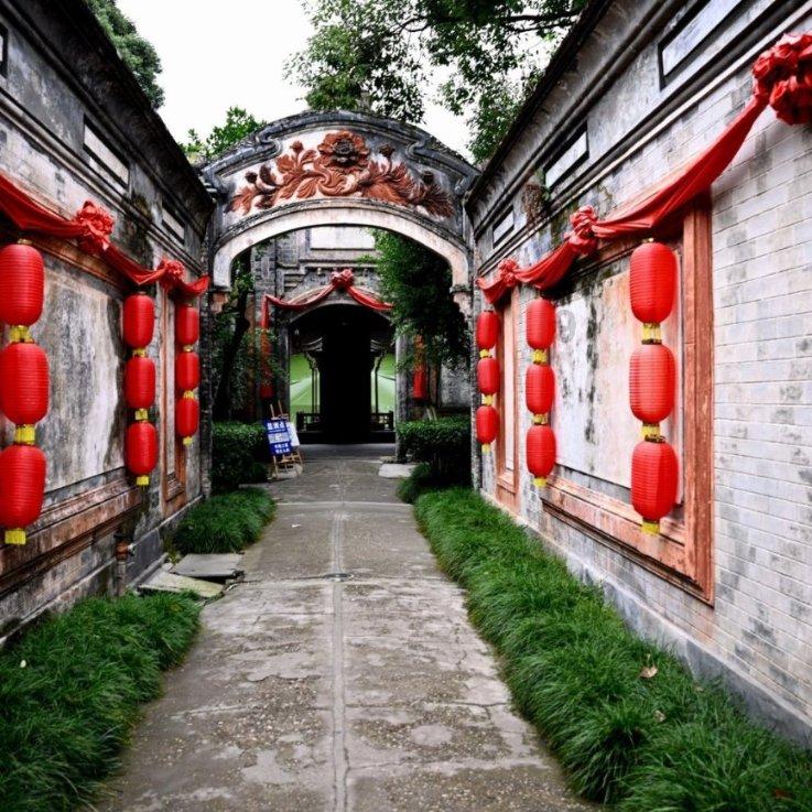 小鸡要回家